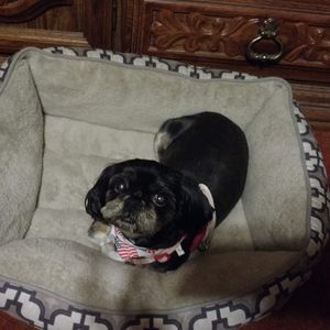 Meet your Posher, Carolyn